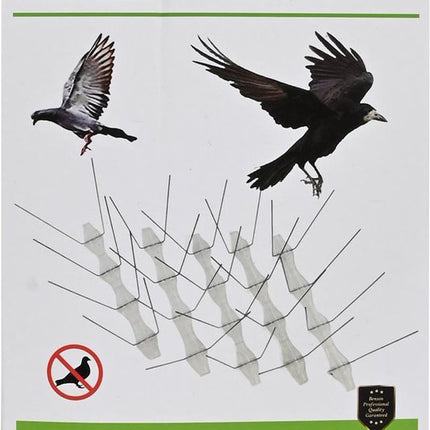 Benson Vogelpinnen - Duivenpinnen - 10 stuks