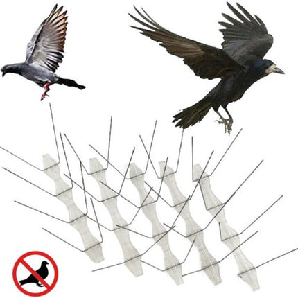 Benson Vogelpinnen - Duivenpinnen - 10 stuks