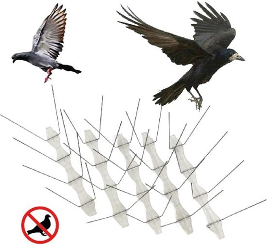 Benson Vogelpinnen - Duivenpinnen - 10 stuks