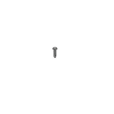 Twinson schroef 4x13 mm 100 st