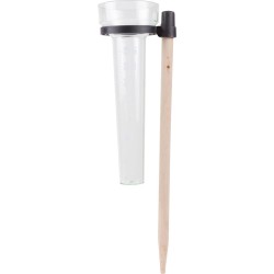 Benson Regenmeter/neerslagmeter plexieglas op een stok kunststof/hout 36 cm