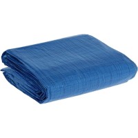 Benson Afdekzeil - Polyethyleen - 5 x 8 meter - Blauw